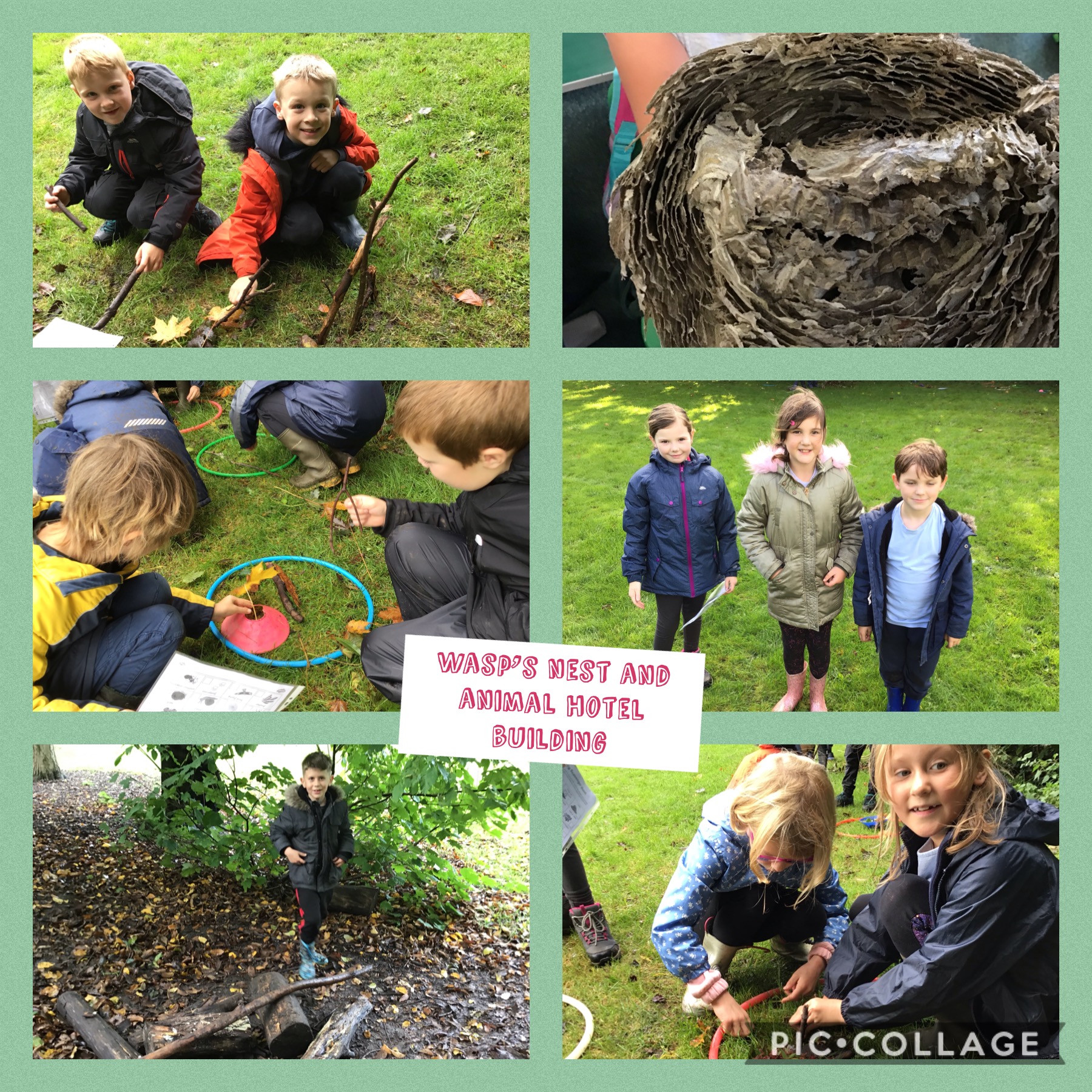 Year 3 Chetwynd Deer Park Day Photos – Newport CE Junior School